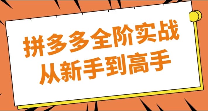 拼多多全阶实战从新手到高手-123资源库-软件资源分享-素材分享-资源分享网站