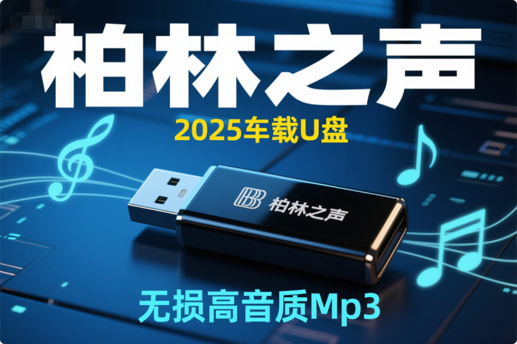 “柏林之声”2025车载U盘，无损高音质Mp3格式-4100首-123资源库-软件资源分享-素材分享-资源分享网站