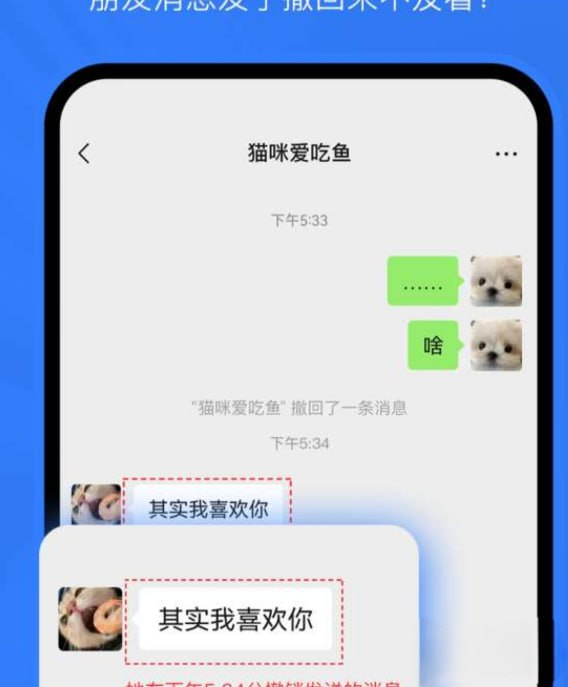 消息防撤回，支持多个聊天软件-123资源库-软件资源分享-素材分享-资源分享网站